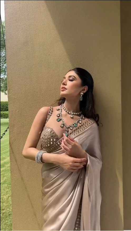 Champagne Noor Luxe Saree