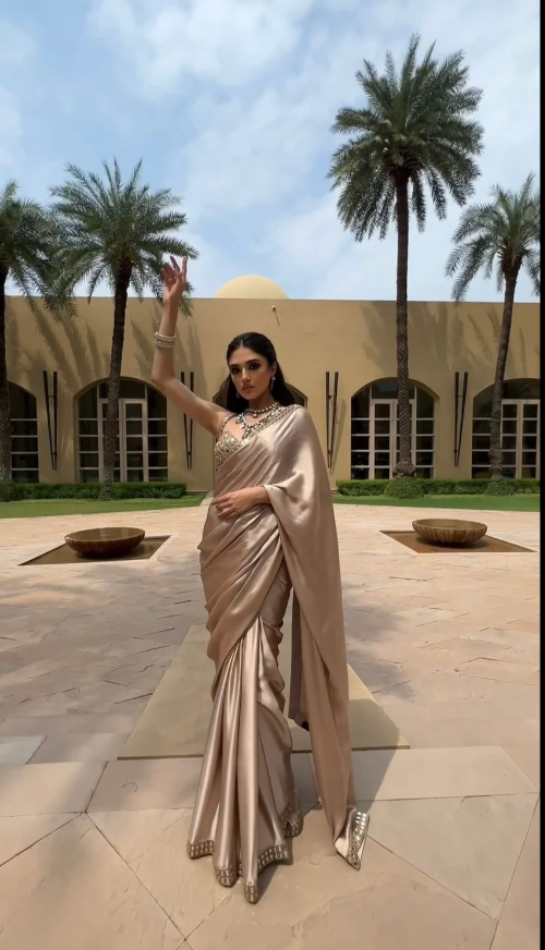 Champagne Noor Luxe Saree