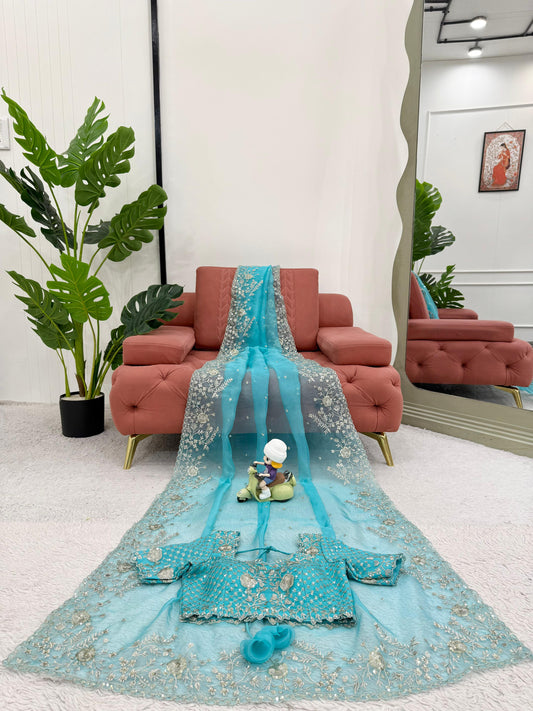 Sitara Shahi Organza Saree